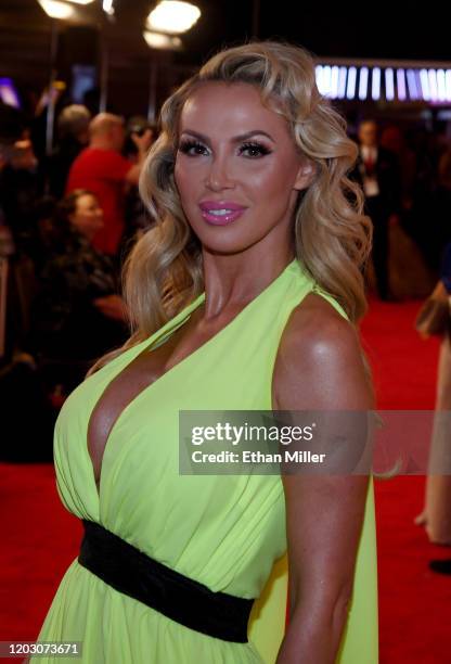 WAdult film actress Nikki Benz attends the 2020 Adult Video News Awards at The Joint inside the Hard Rock Hotel & Casino on January 25, 2020 in Las...