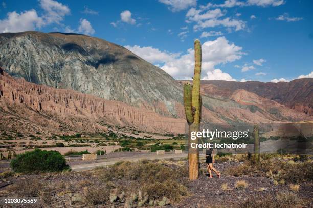 mujer de pie frente a un cactus grande - salta argentina fotografías e imágenes de stock