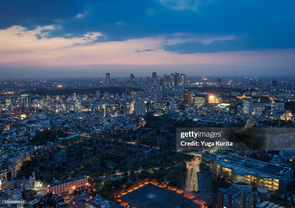 Tokyo Skyline at Night (Skyscrapers in Shinjuku)