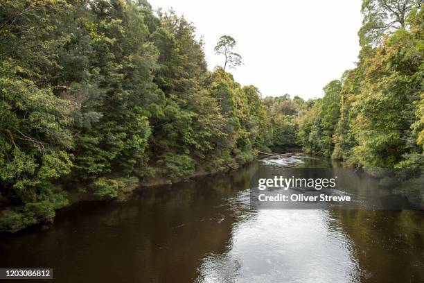 Natitama Rever 33 Savage River Tasmania Stock Photos, High-Res Pictures, and Images ...