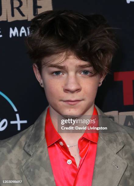 Oakes Fegley attends the premiere of Disney +'s "Timmy Failure: Mistakes Were Made" at El Capitan Theatre on January 30, 2020 in Los Angeles,...
