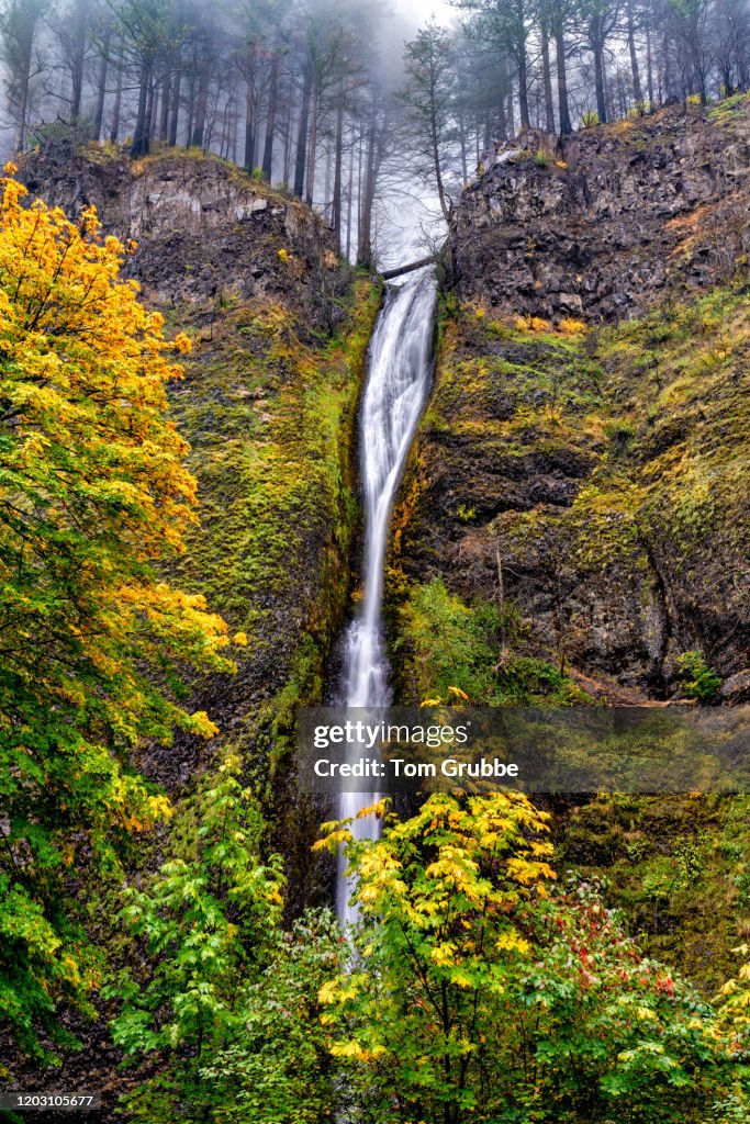 Horsetail Falls