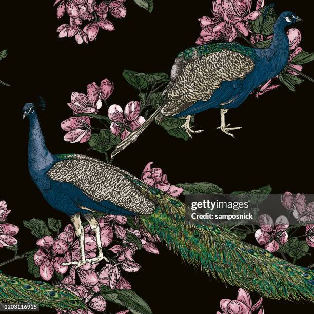 elegante nahtlose vintage look pfau muster - pheasant bird stock-grafiken, -clipart, -cartoons und -symbole