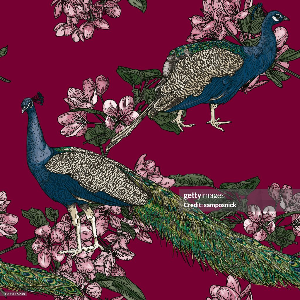 Elegant Seamless Vintage Look Peacock Pattern