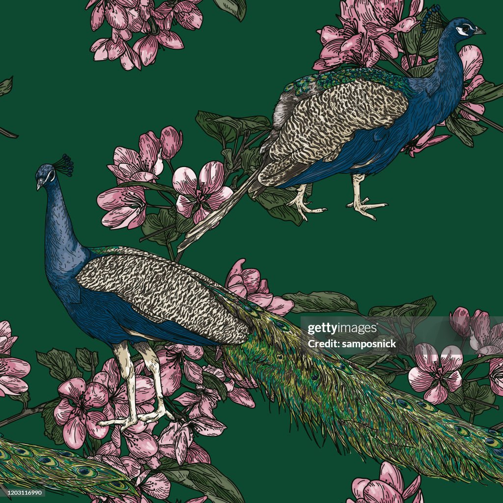 Elegant Seamless Vintage Look Peacock Pattern