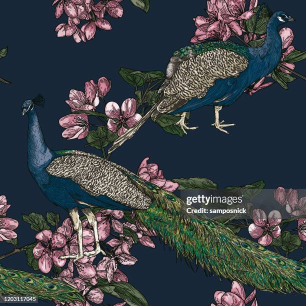 elegant seamless vintage look peacock pattern - pheasant stock illustrations