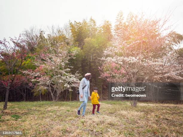 tourist in cherry blossom festival japan. - large family photos et images de collection