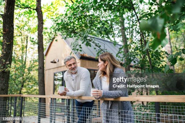 a portrait of mature couple standing outdoors by a tree house, resting. - tree house bildbanksfoton och bilder