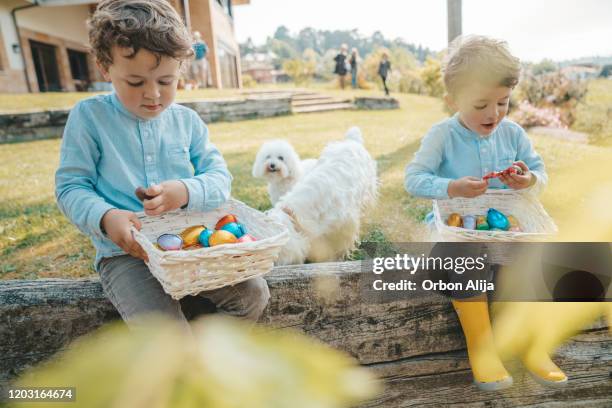two boys eating chocolate easter eggs - dog easter imagens e fotografias de stock
