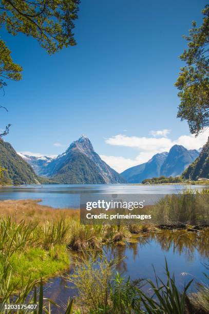wide angle view in the milford sound fiord fiordland national park new zealand in south island new zealand - southland new zealand stock pictures, royalty-free photos & images