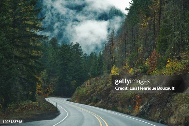 oregon roads 2 - national forest stock pictures, royalty-free photos & images