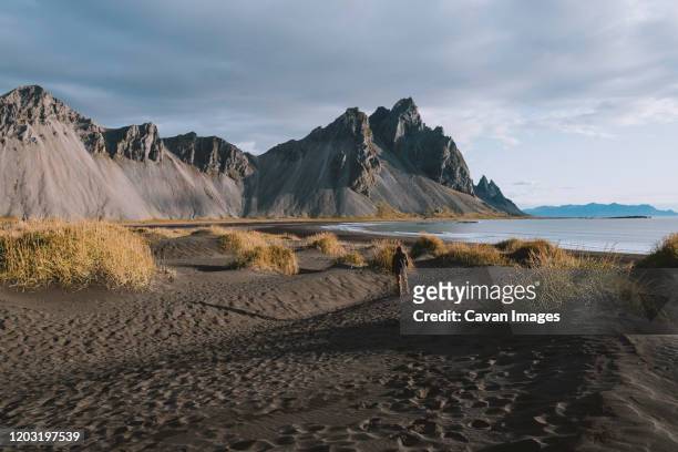 young man looking at dramatic mountains on beach in iceland - viking stock pictures, royalty-free photos & images