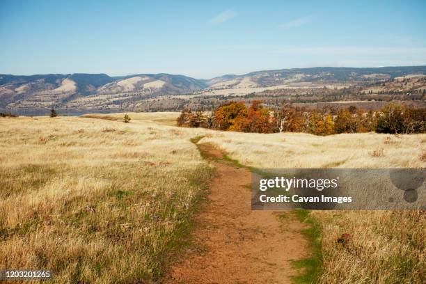 trail in rowena crest looking out towards columbia river and hills - oregon wilderness stock pictures, royalty-free photos & images