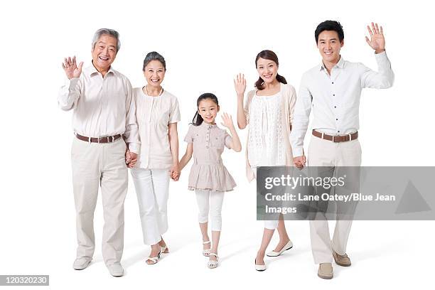 happy multi-generational family, studio shot - grootmoeder witte achtergrond stockfoto's en -beelden