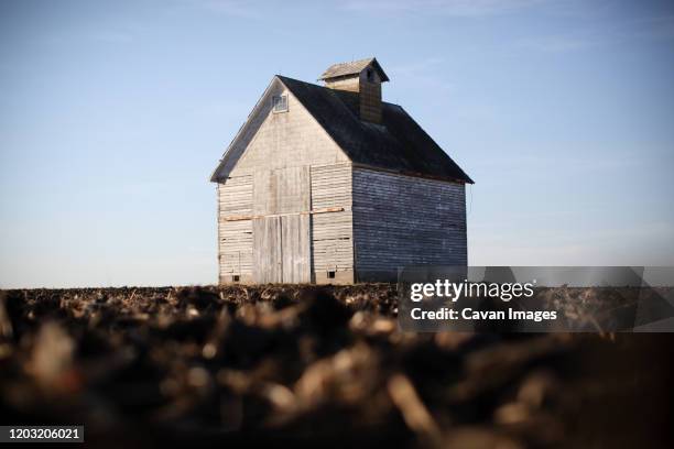 lone barn in a cornfield - peoria illinois stockfoto's en -beelden