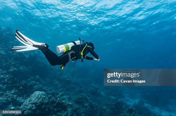 scuba diver exploring the great barrier reef in australia - mergulho autónomo imagens e fotografias de stock