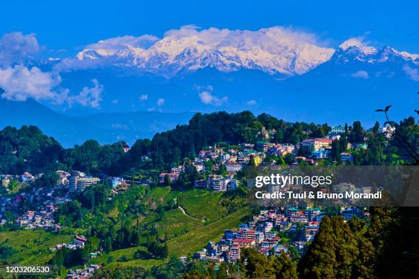 india, west bengal, darjeeling, view to the himalayas - kangchenjunga stock pictures, royalty-free photos & images