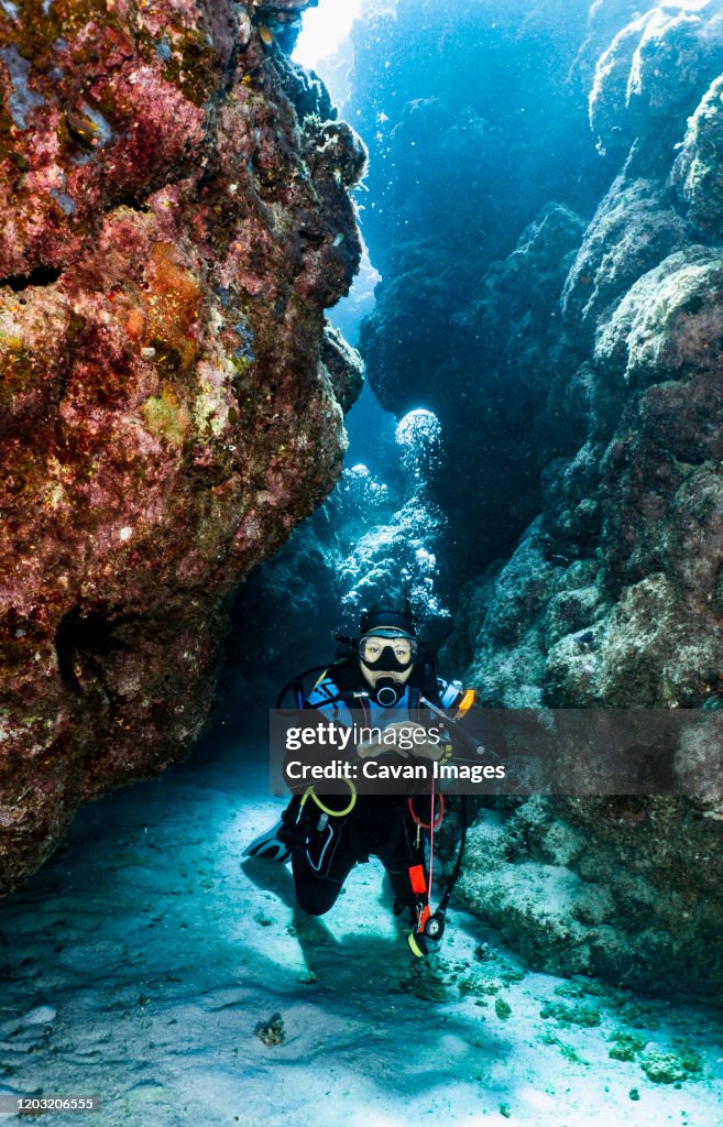 Scuba diver exploring a canyon at the great barrier reef in Australia