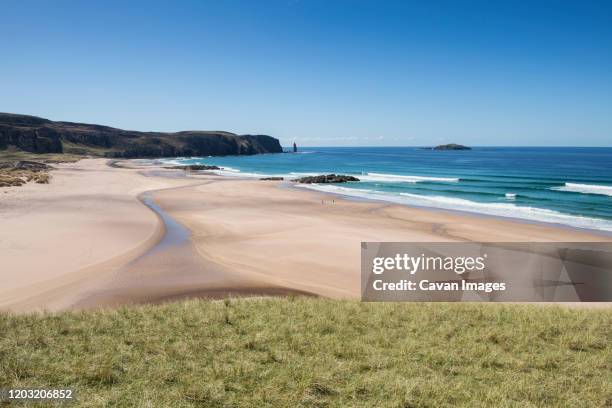 grass sand dunes and beach at isolated sandwood bay, sutherland, scotland - sutherland ストックフォトと画像