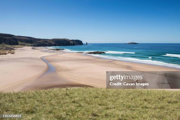 grass sand dunes and beach at isolated sandwood bay, sutherland, scotland - sutherland scotland stock pictures, royalty-free photos & images