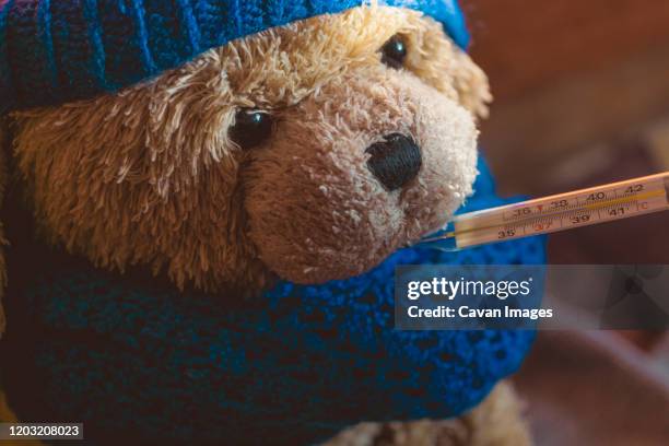 close up of plush bear with thermometer in mouth. wearing knitted hat and scarf. cold, flu, illness, high temperature concept - teddybär freisteller stock-fotos und bilder