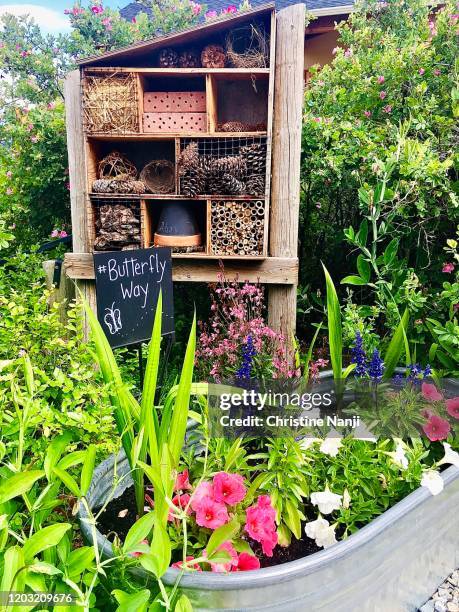 butterfly and insect hotel - bees and butterflies stock pictures, royalty-free photos & images