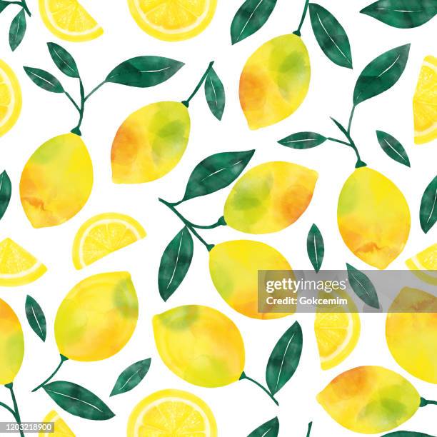 watercolor hand painted lemons and lemon slices seamless pattern. spring, summer concept background. - fruit tree illustration stock illustrations