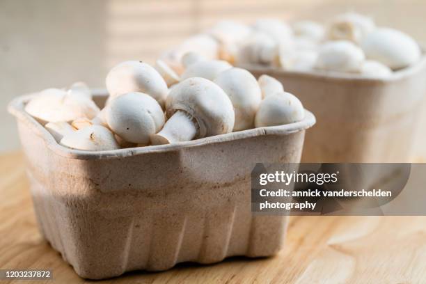 white mushroom - white mushroom stock pictures, royalty-free photos & images