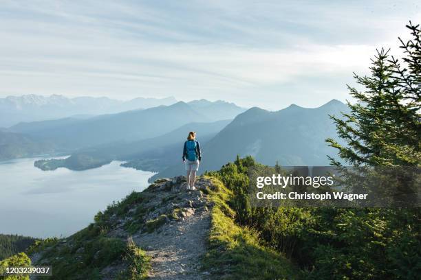 bayerische alpen - herzogstand - happy woman in early morning sunlight photos et images de collection