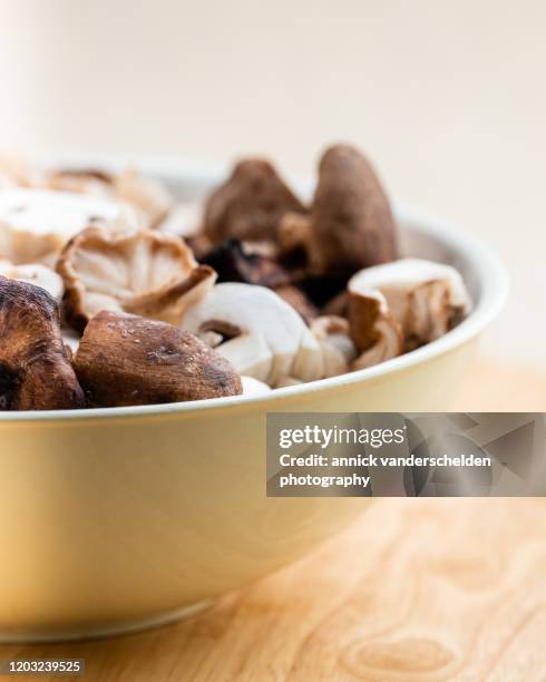 shiitake and white mushroom - white mushroom photos et images de collection