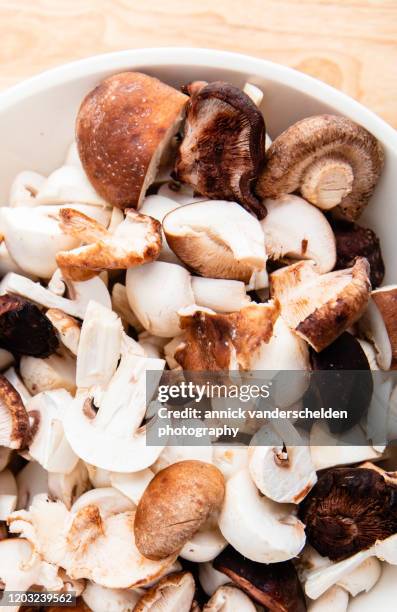 shiitake and white mushroom - white mushroom ストックフォトと画像