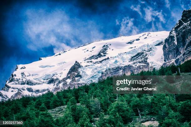 vista de las montañas nevadas, el cielo y el bosque. parque nacional torres del paine, chile. - montañas nevadas stock pictures, royalty-free photos & images