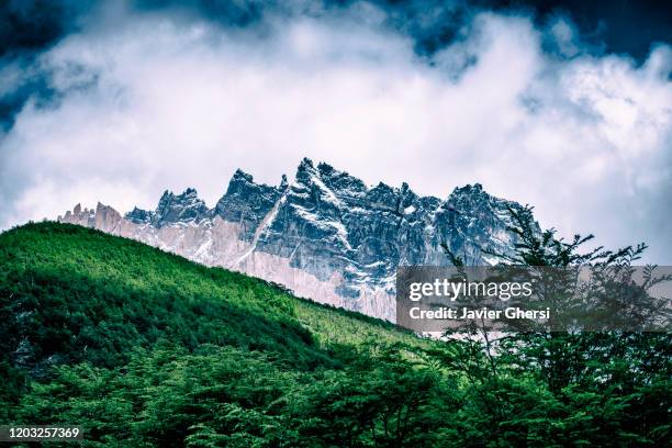 vista de las montañas nevadas, el cielo y el bosque. parque nacional torres del paine, chile. - montañas nevadas stock pictures, royalty-free photos & images