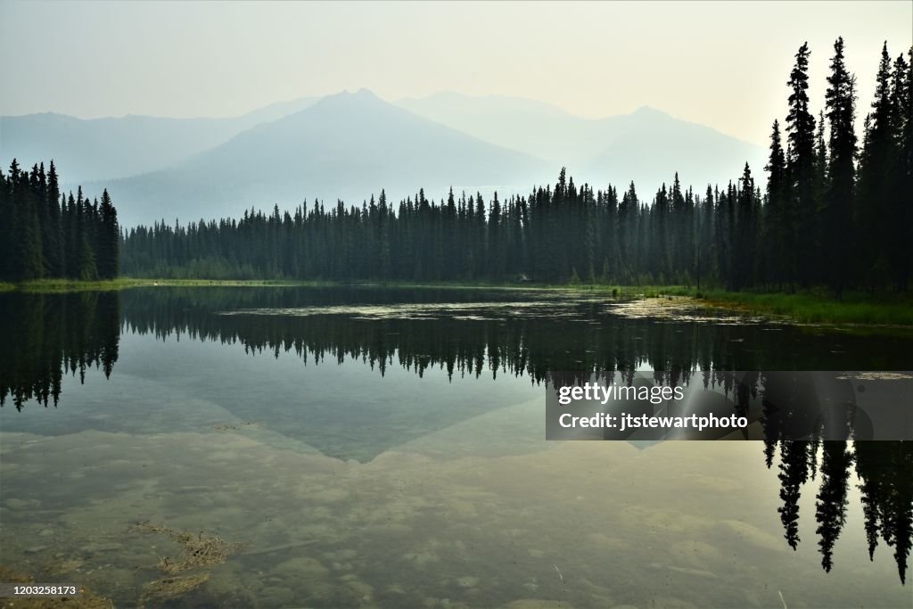 Denali Forest Fire Smoke