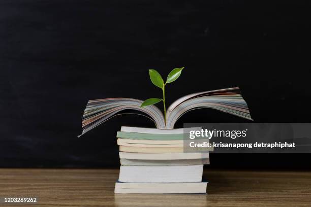 education concept with tree of knowledge planting on opening old big book - world philosophy day photos et images de collection