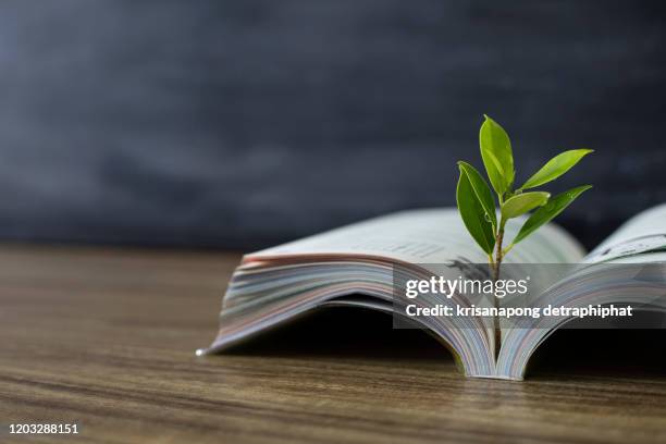 education concept,books and trees. - evolution history fotografías e imágenes de stock