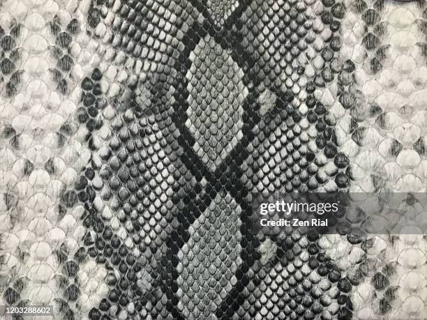 snake skin pattern handbag in black and white - schlangenleder stock-fotos und bilder