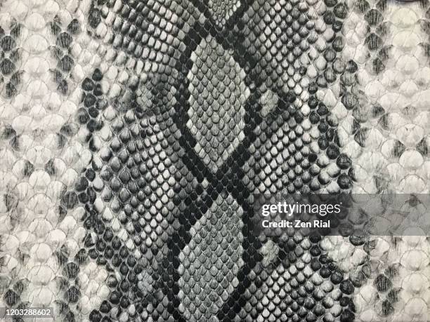 snake skin pattern handbag in black and white - piel de serpiente fotografías e imágenes de stock