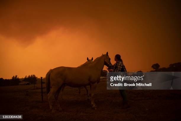 Claire Cowie with her horses on her Bumbalong Road, Bredbo North, Property near Canberra. February 01, 2020 in Canberra, Australia. ACT Chief...