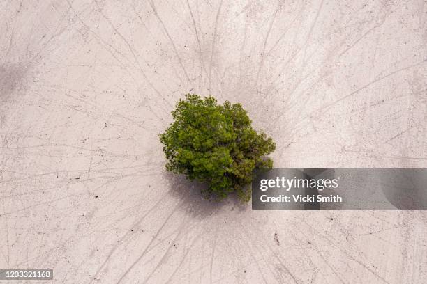 aerial view of extreme dry land with a few trees and patterns - climate change australia stock pictures, royalty-free photos & images
