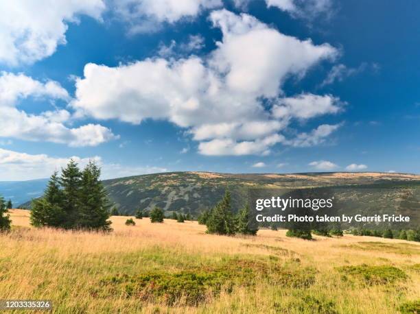 krkonoše, riesengebirge, karkonosze - riesengebirge stock-fotos und bilder