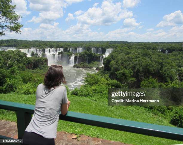 female tourist looking at view at iguaçu national park, brazil - cataratas del iguazú fotografías e imágenes de stock