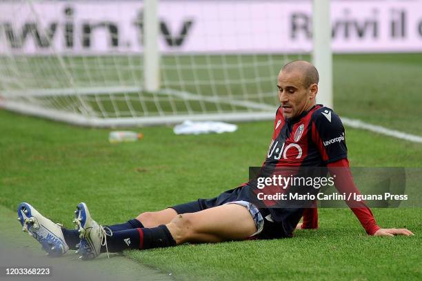 Rodrigo Palacio of Bologna FC reacts during the Serie A match between Bologna FC and Brescia Calcio at Stadio Renato Dall'Ara on February 01, 2020 in...