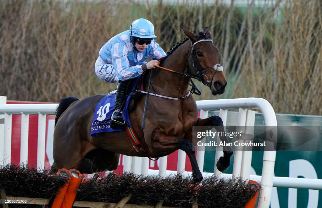 Leopardstown Races