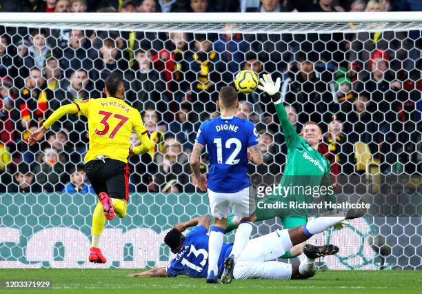 Roberto Pereyra of Watford scores his team's second goal past Jordan Pickford of Everton during the Premier League match between Watford FC and...