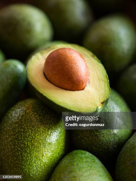 nahaufnahme der hälften einer avocado - avocado stock-fotos und bilder