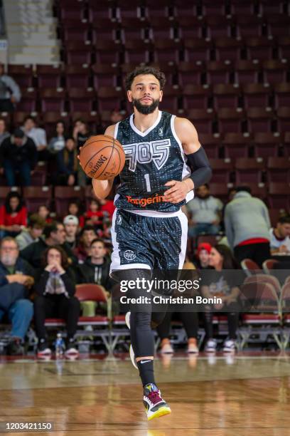 February 25: Tyler Ennis of the Mississauga Raptors 905 dribbles the ball against the Fort Wayne Mad Ants at the Paramount Fine Foods Centre on...