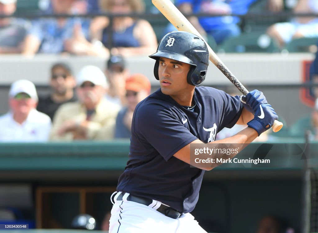 New York Mets v Detroit Tigers