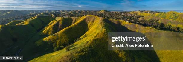 the spring bloom on the hills of santa monica mountains, california, usa. aerial extra-wide stitched panorama. - santa monica mountains stock pictures, royalty-free photos & images