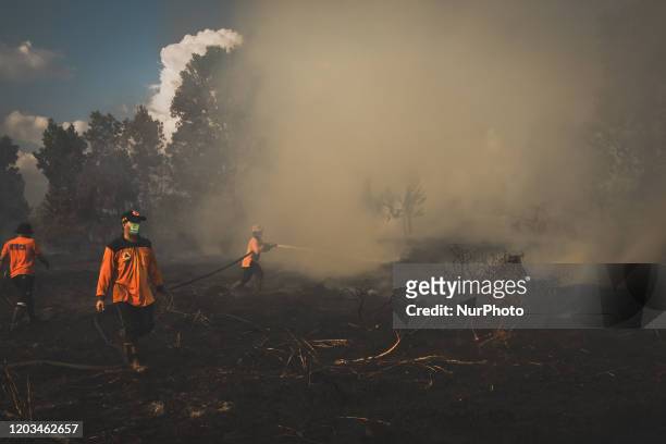 Indonesian firefighters battling a forest fire in Pearland at Rumbai Pesisir district, in Riau Province, Indonesia, on Feb. 26, 2020 Riau regency...
